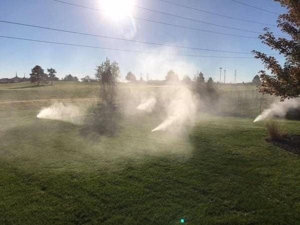 Sprinklers spraying water on a green lawn under a bright sun, trees in the background.