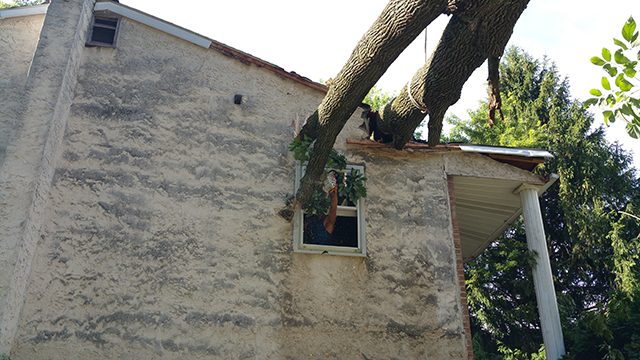 Tree crashing into a house