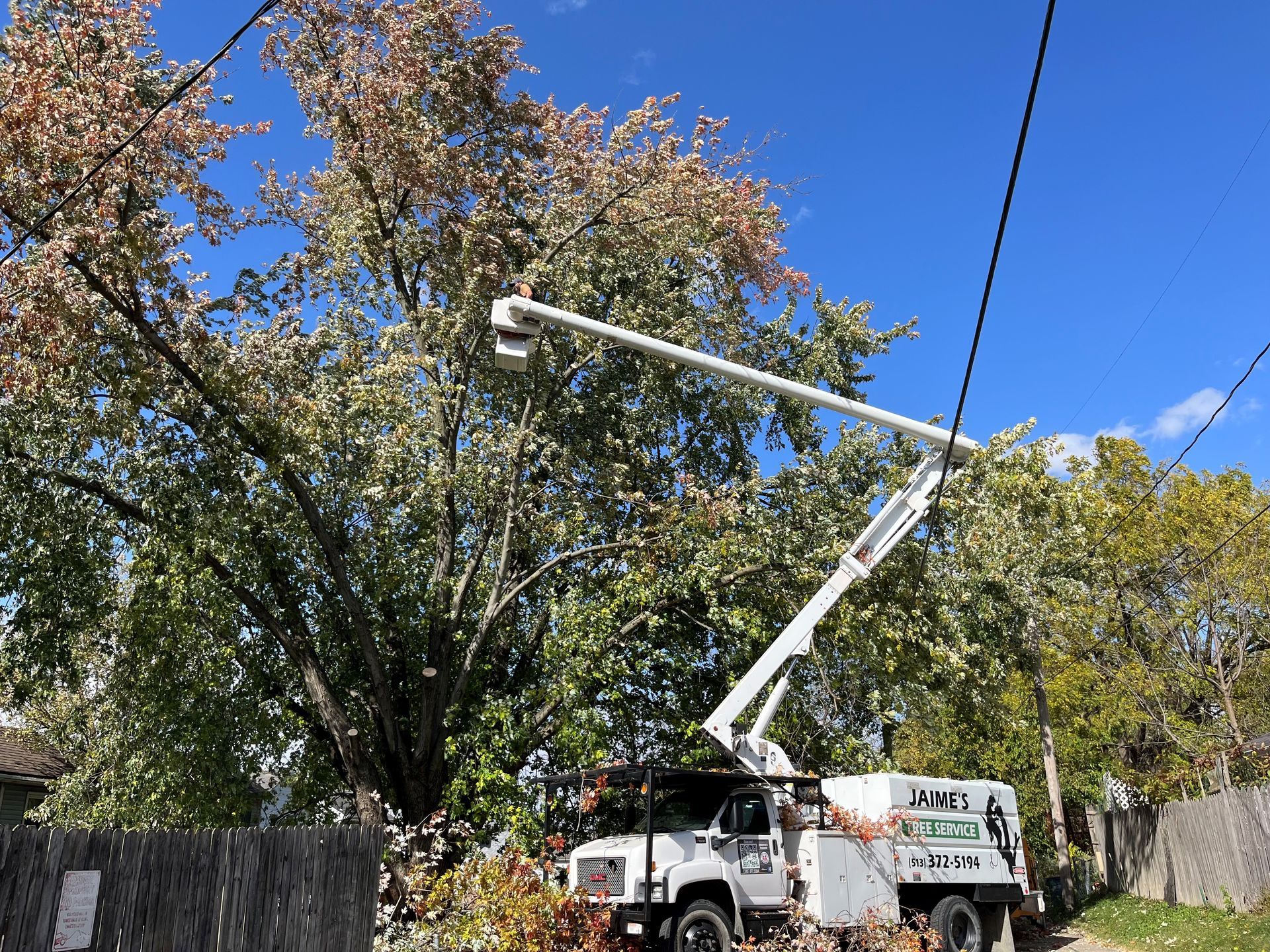 A white tree trimming truck with extended arm reaches towards a tree with green and reddish leaves against a blue sky.