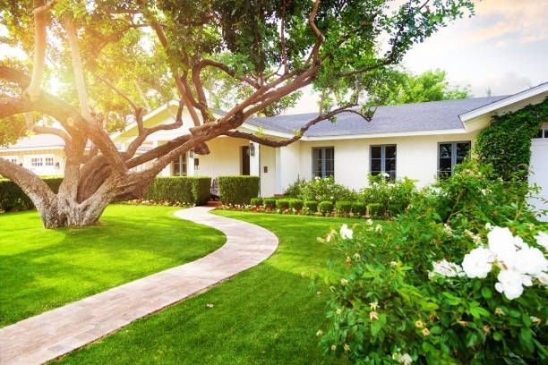 Jaime's Tree Service