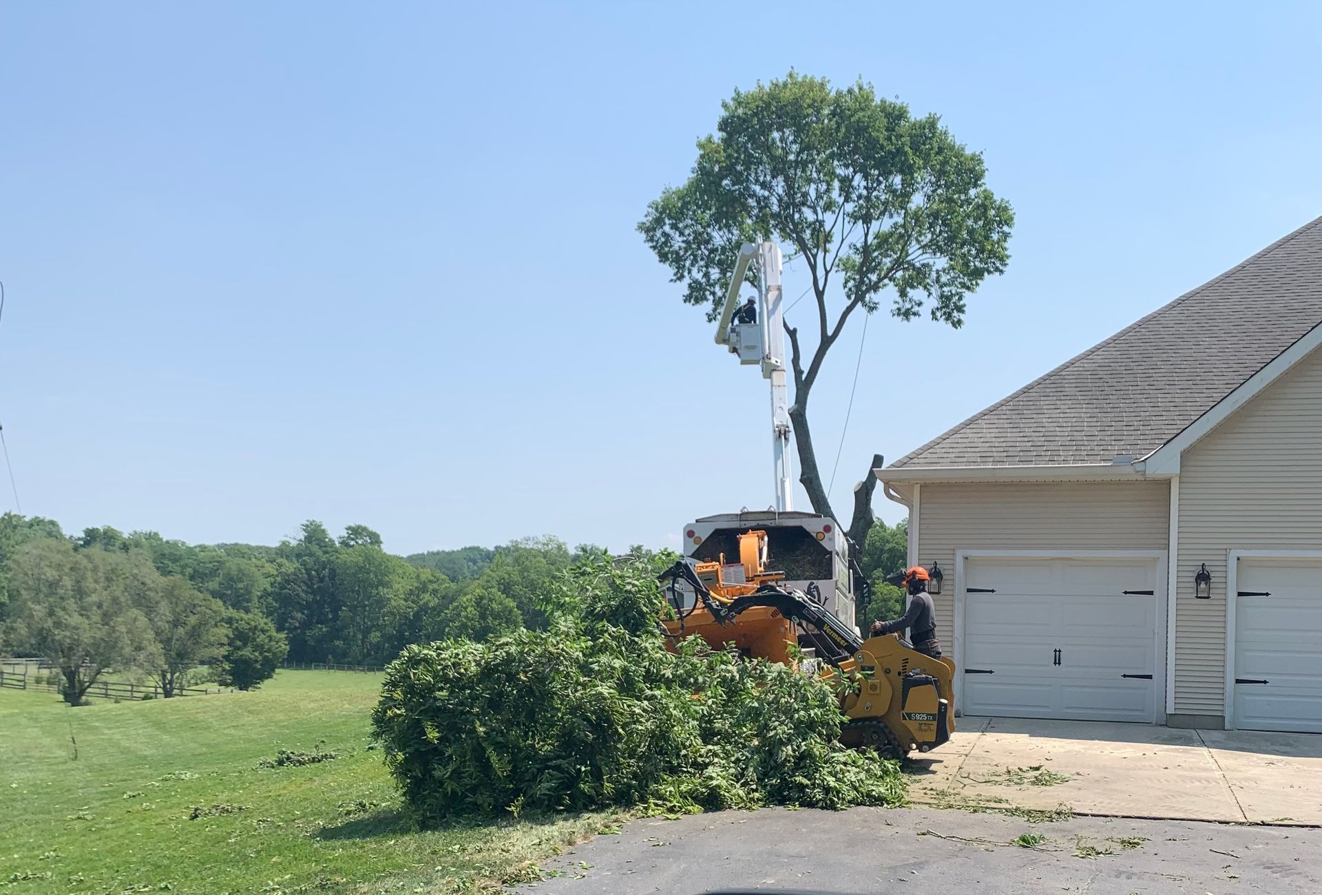 A tree being trimmed next to a house. A yellow machine with a worker in an elevated bucket cuts branches. Debris piles on the ground.