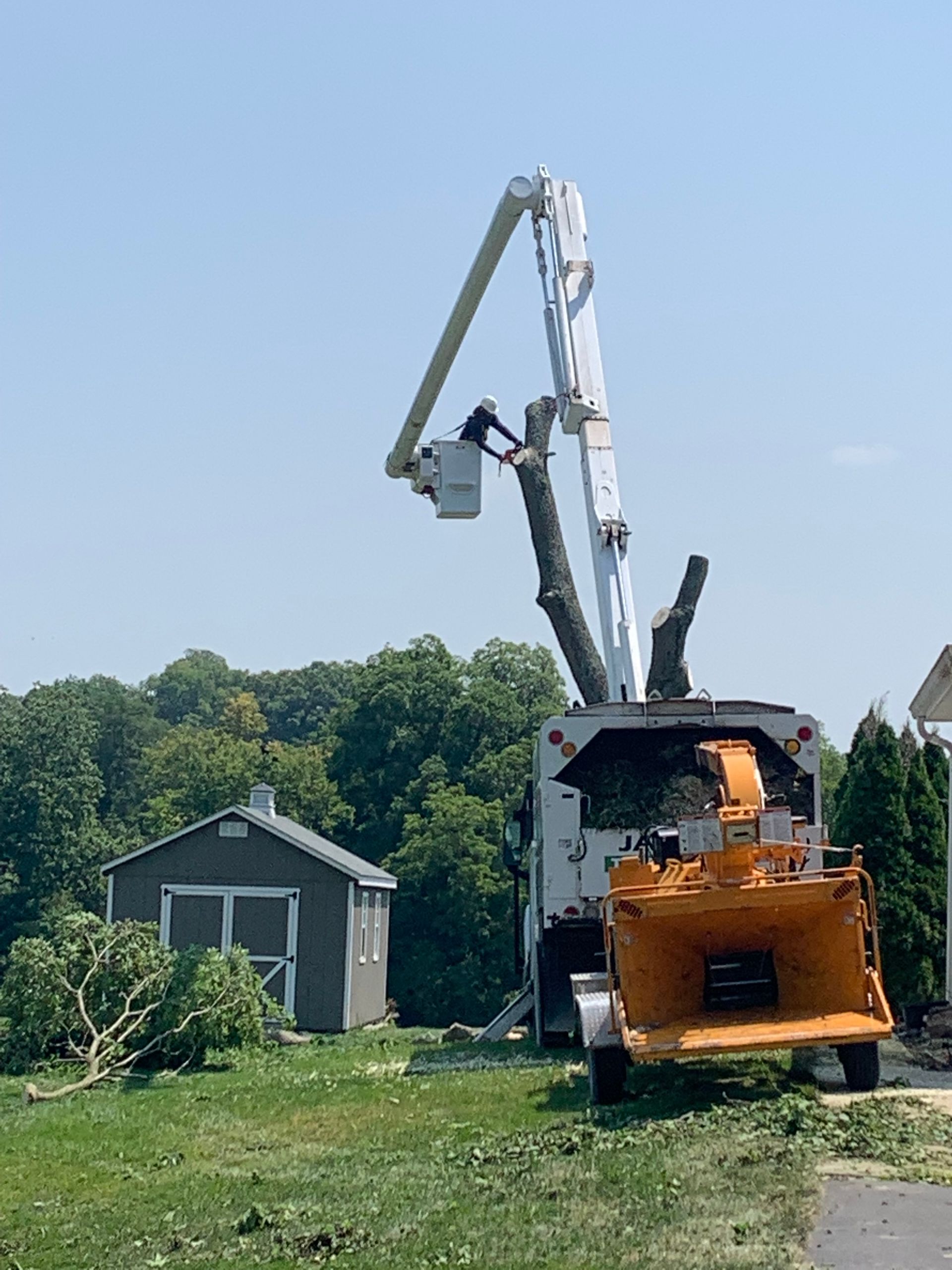 A tree service worker in a bucket truck trims a tree. The truck's chipper is running, and a small shed is in the background.