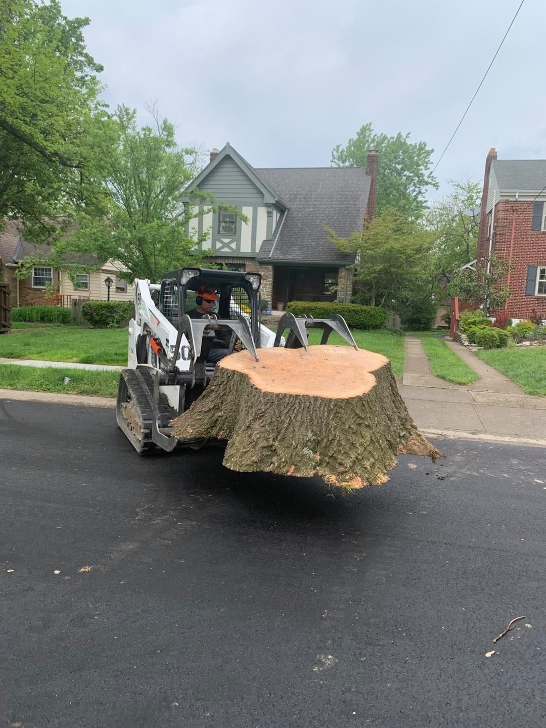 Jaime's Tree Service