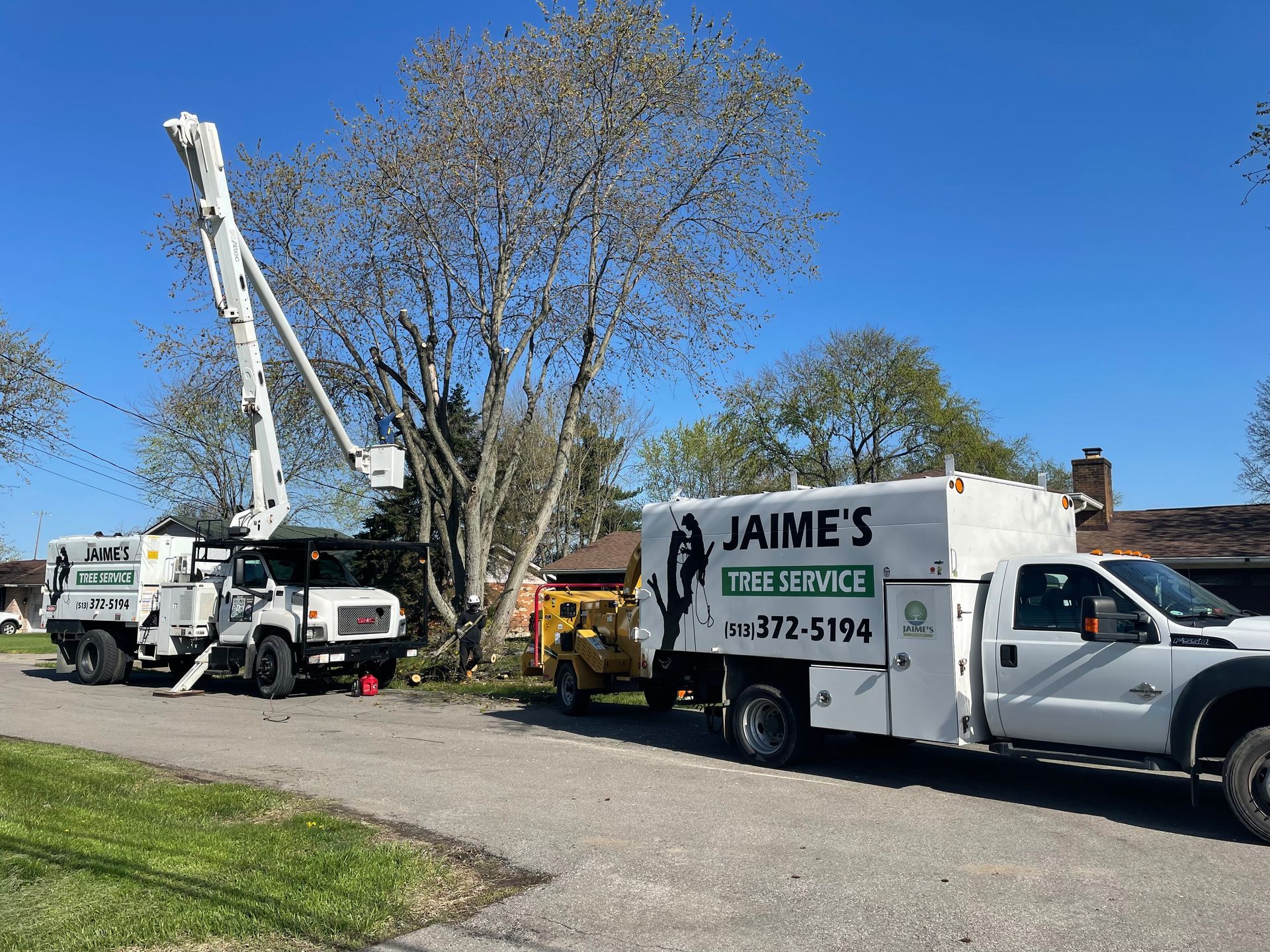 Two white tree service trucks with booms trimming a tree next to a house on a sunny day.