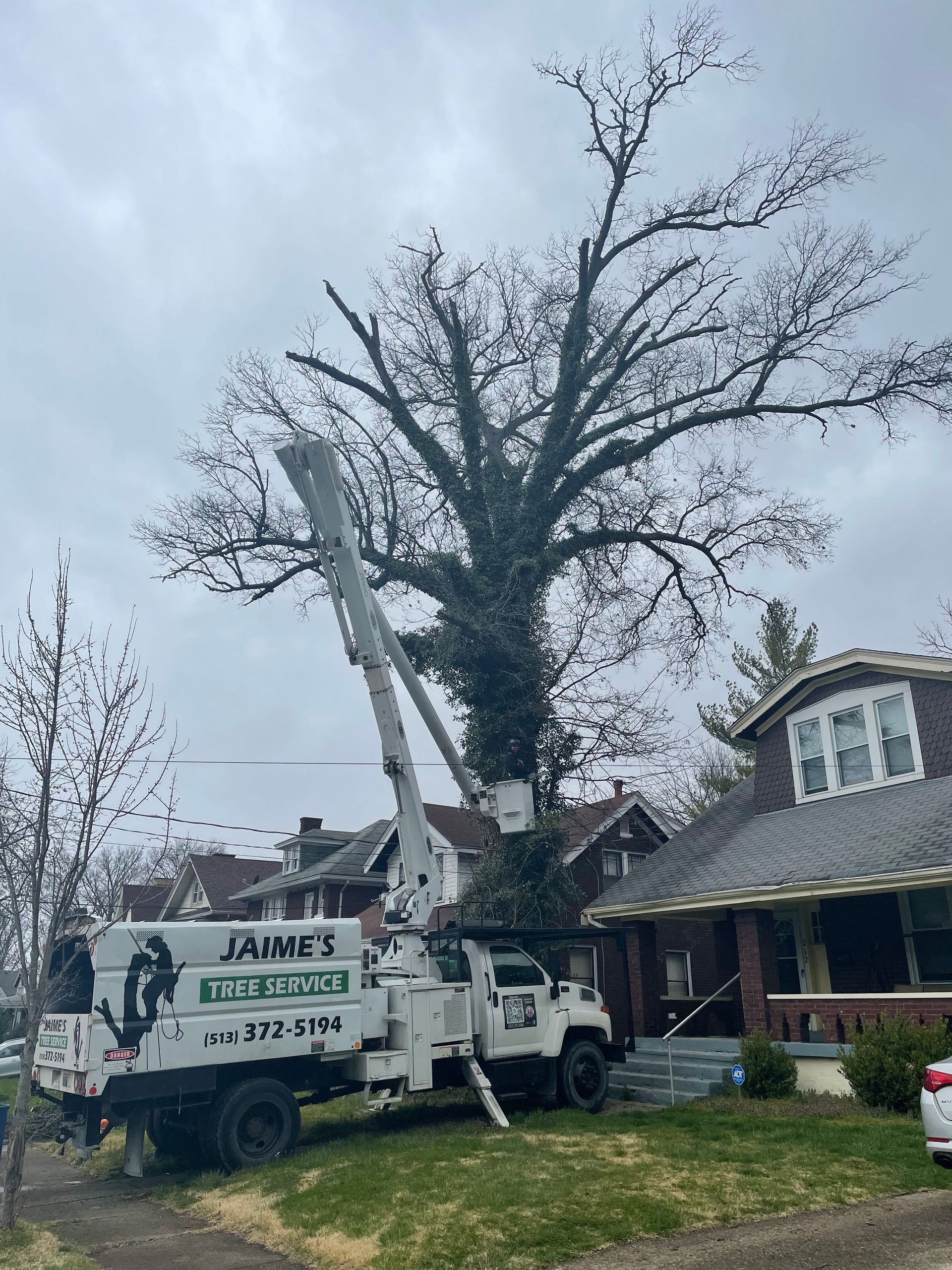 Tree service truck with a raised arm trimming a large tree in front of a house, under a cloudy sky.