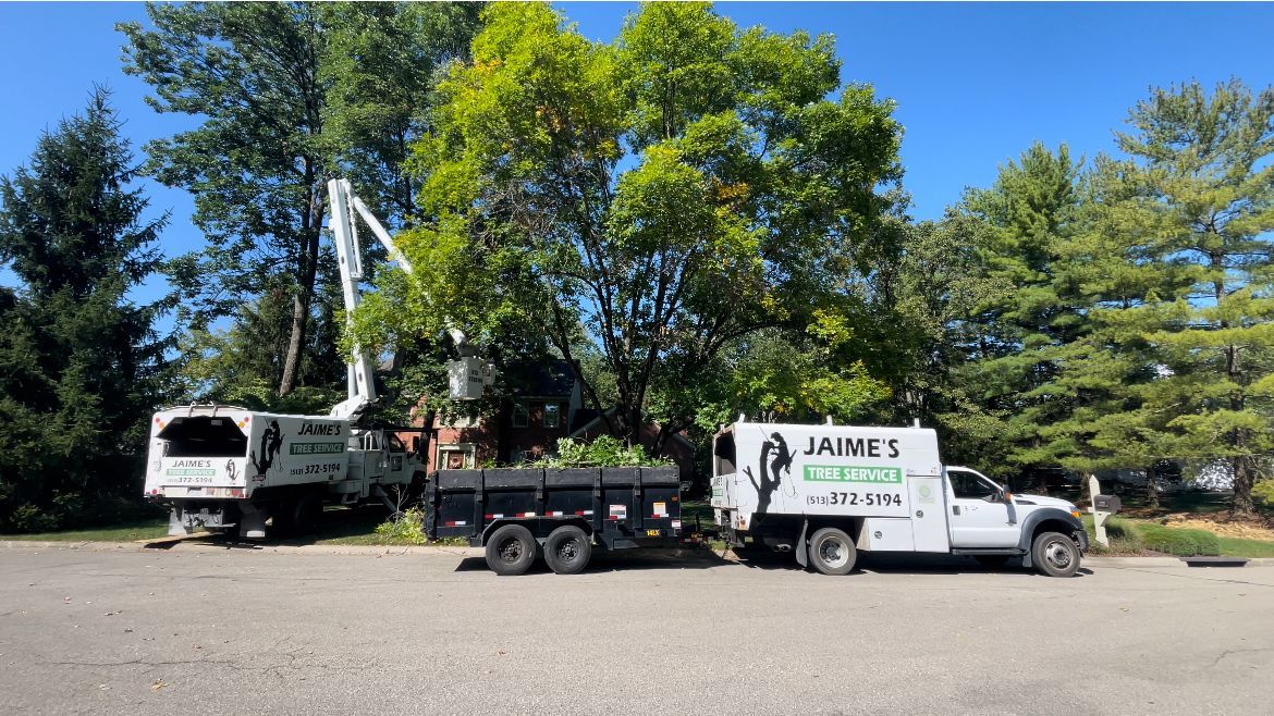 Tree service in action: Bucket truck trims tree branches while a company truck and trailer are parked nearby on a sunny day.