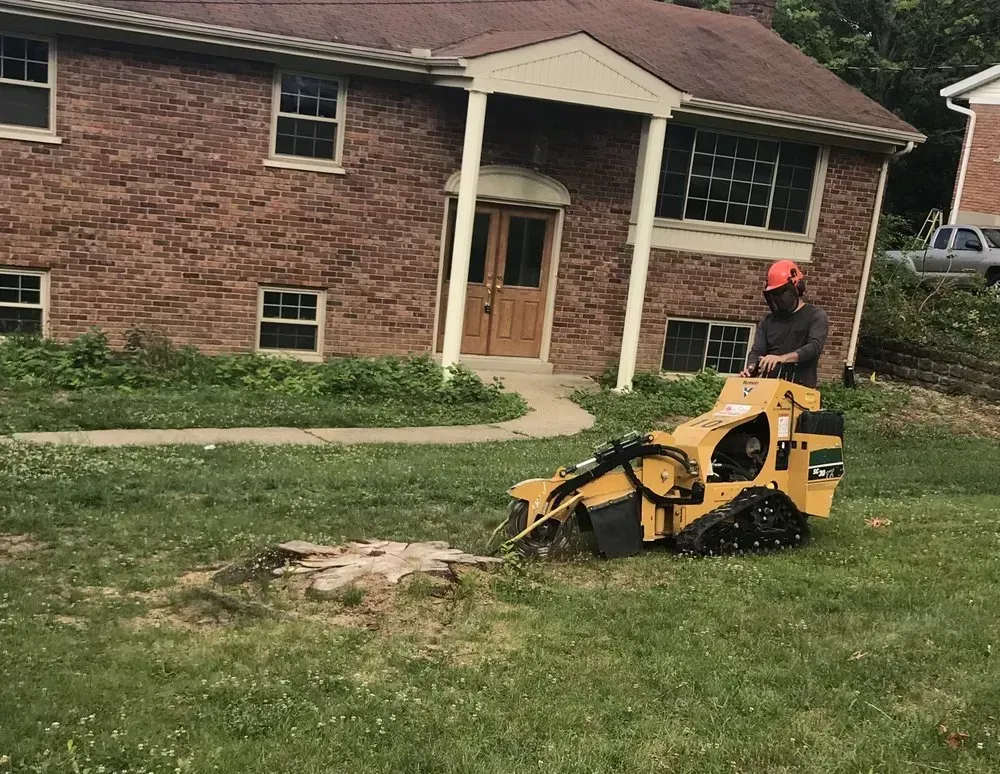 A person operates a yellow stump grinder on a grassy lawn in front of a brick building.