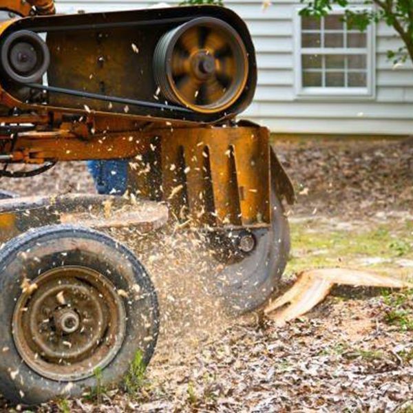 Jaime's Tree Service