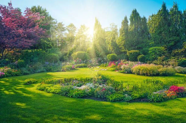 Sunlit garden with lush green lawn, colorful flowers, and trees.