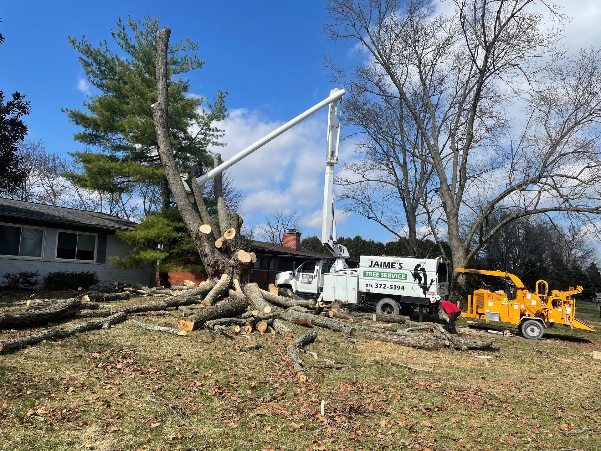 Jaime's Tree Service