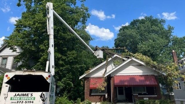 Jaime's Tree Service