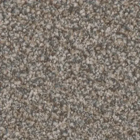 Carpet