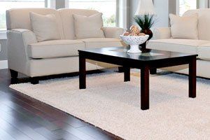 Rug Cleaning Professionals
