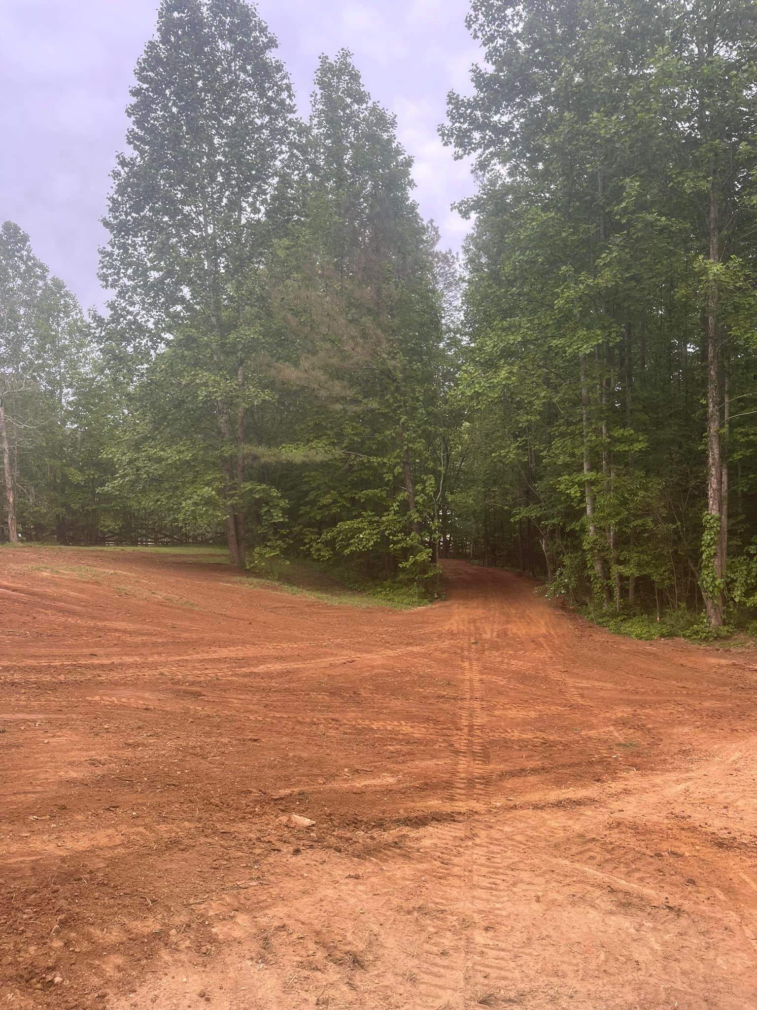 A dirt road going through a forest with trees in the background.
