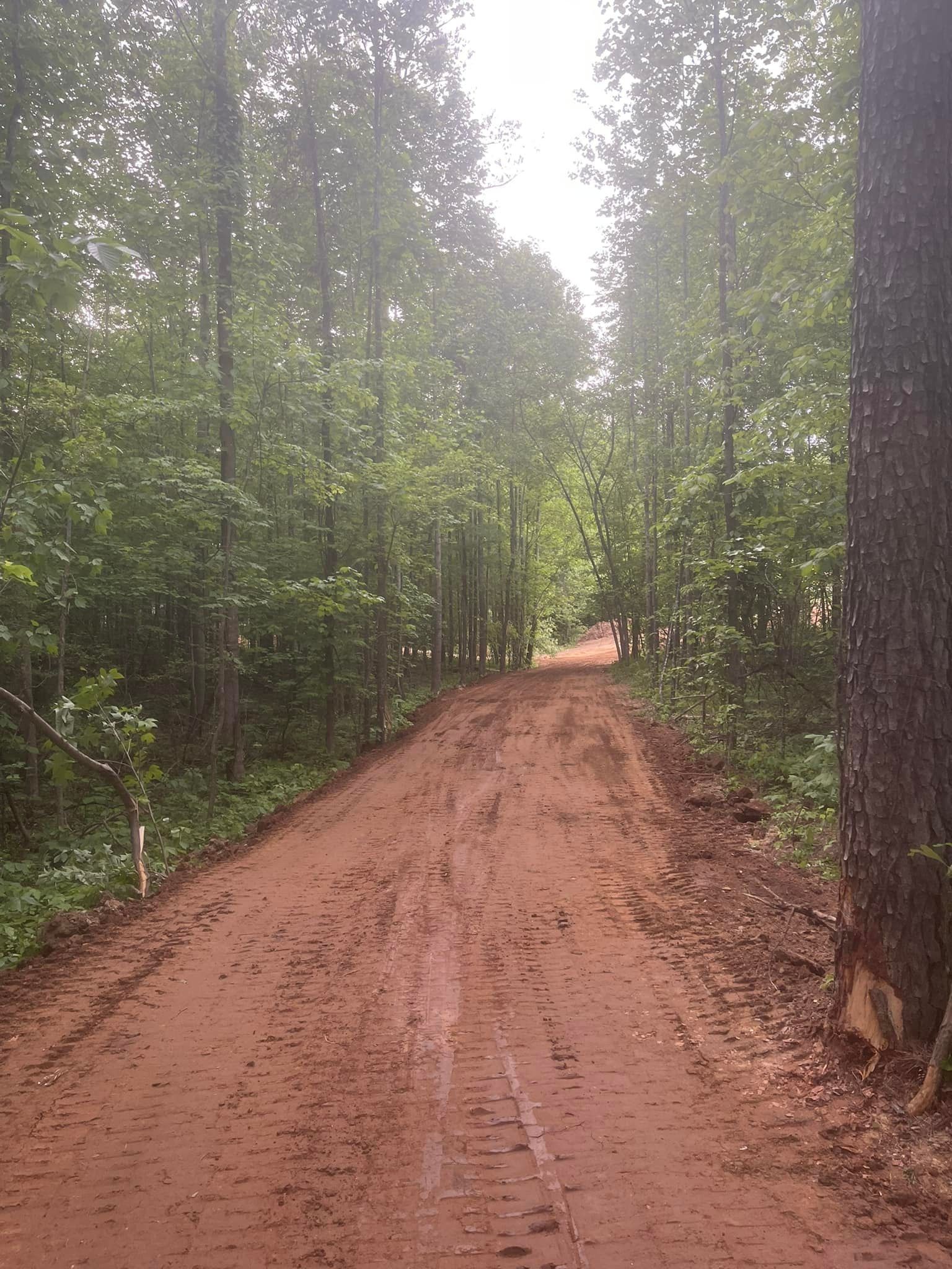 A dirt road going through a forest with trees on both sides