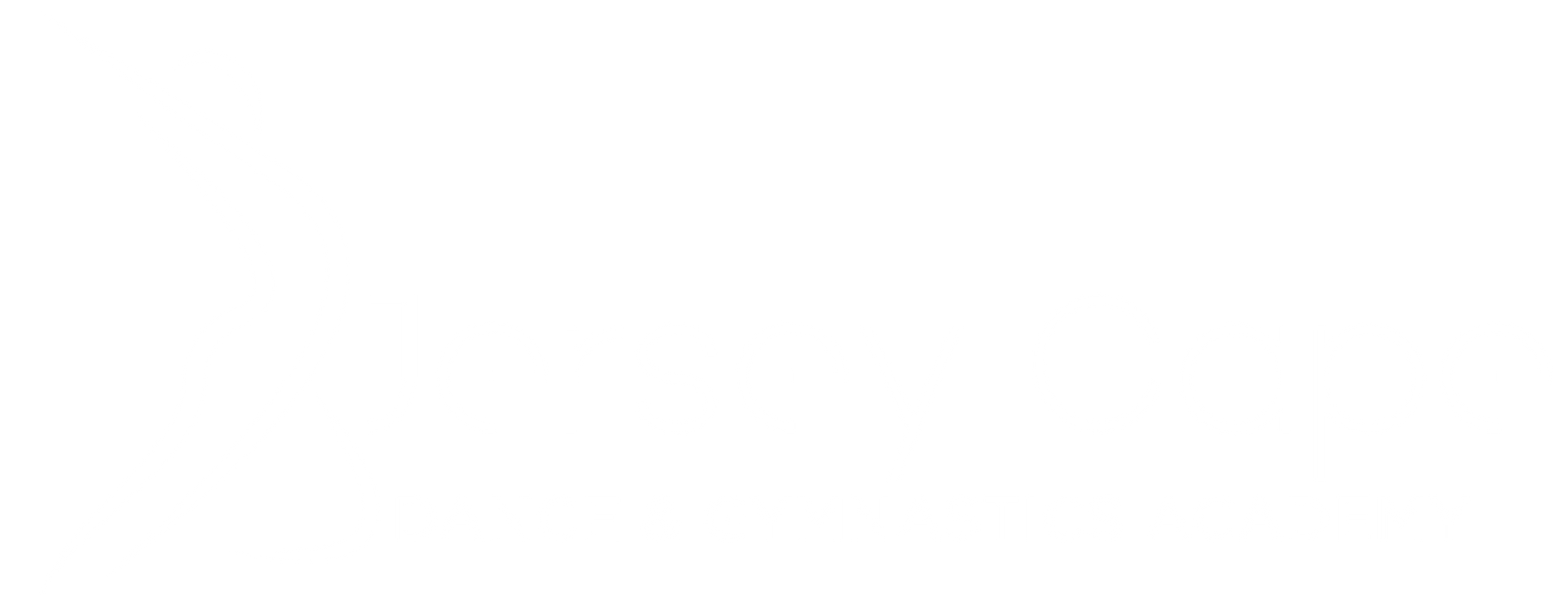 Jersey Cape Dance & Gymnastics Academy- logo