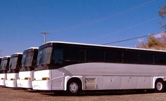 Several white and silver tour buses parked on a clear day under a blue sky.