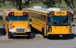 Two yellow school buses parked side-by-side on pavement, in front of trees.