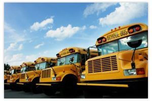Yellow school buses lined up under a blue sky with white clouds.