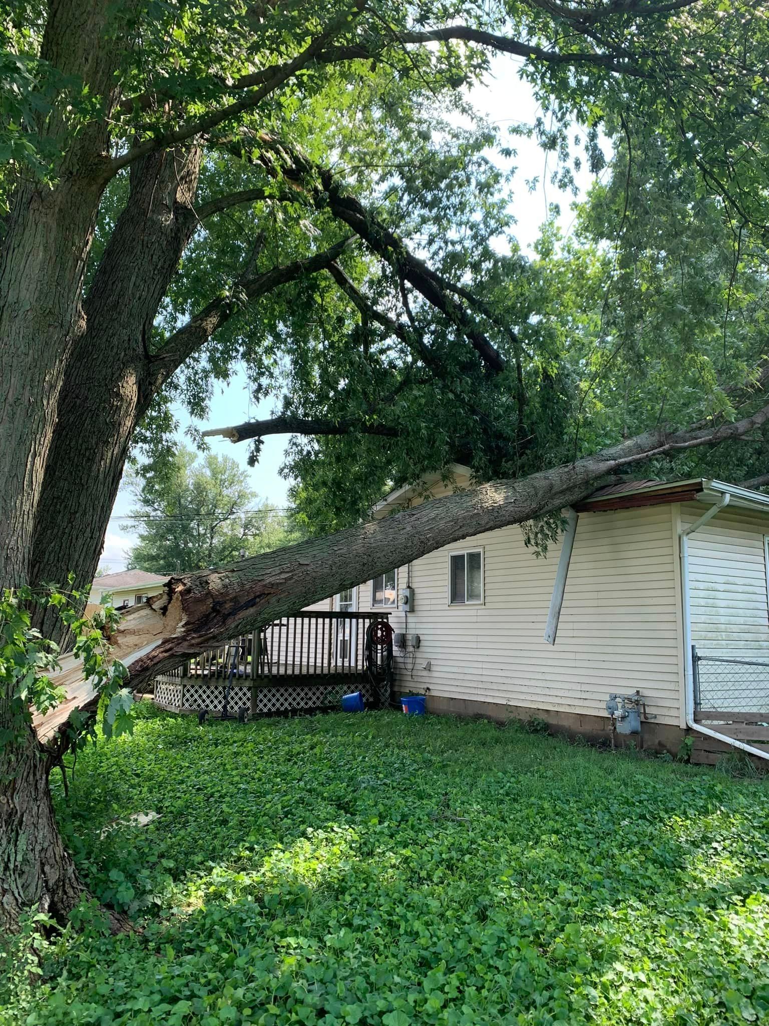 A large tree has fallen on top of a house