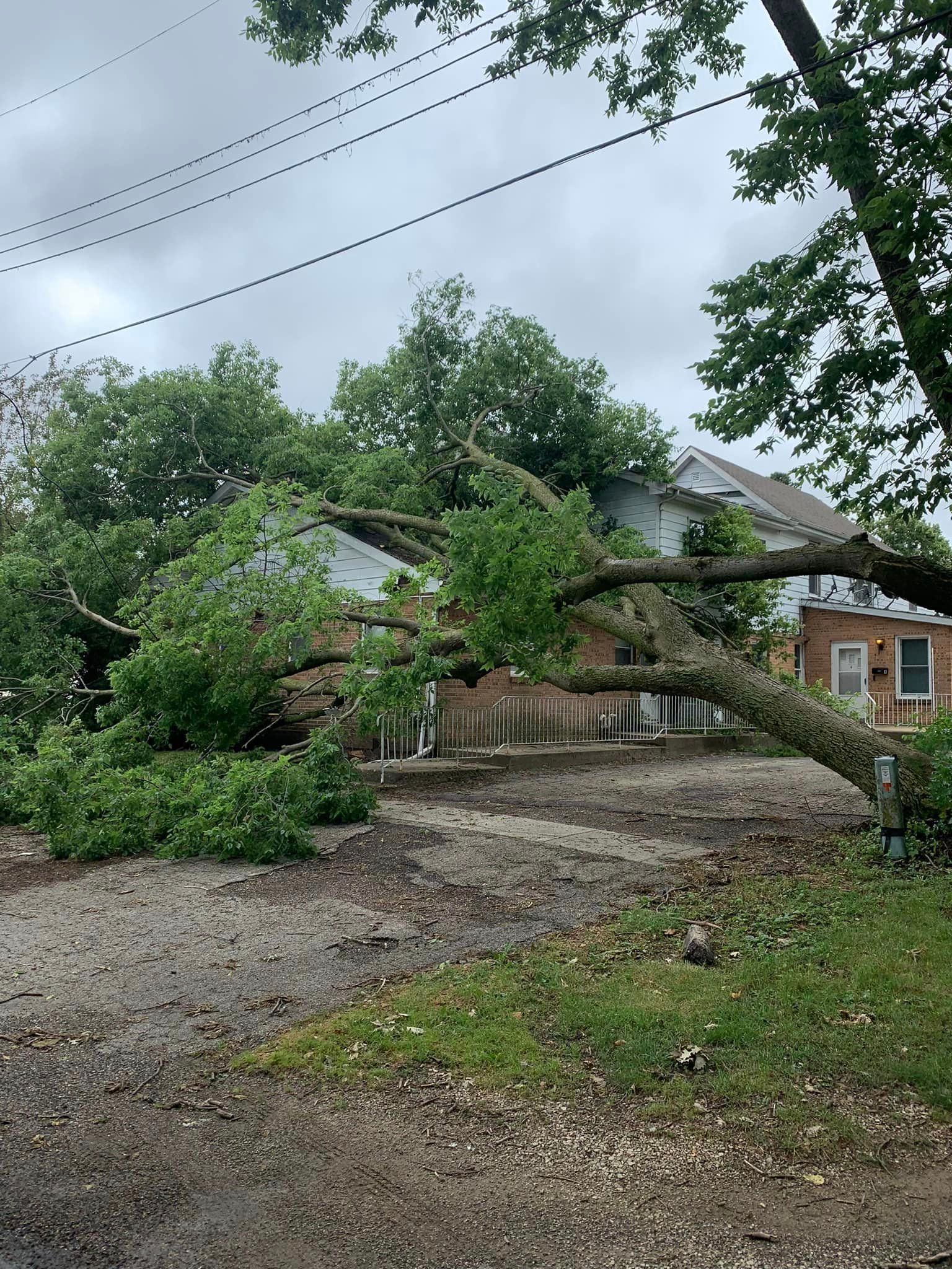 A large tree has fallen on a house