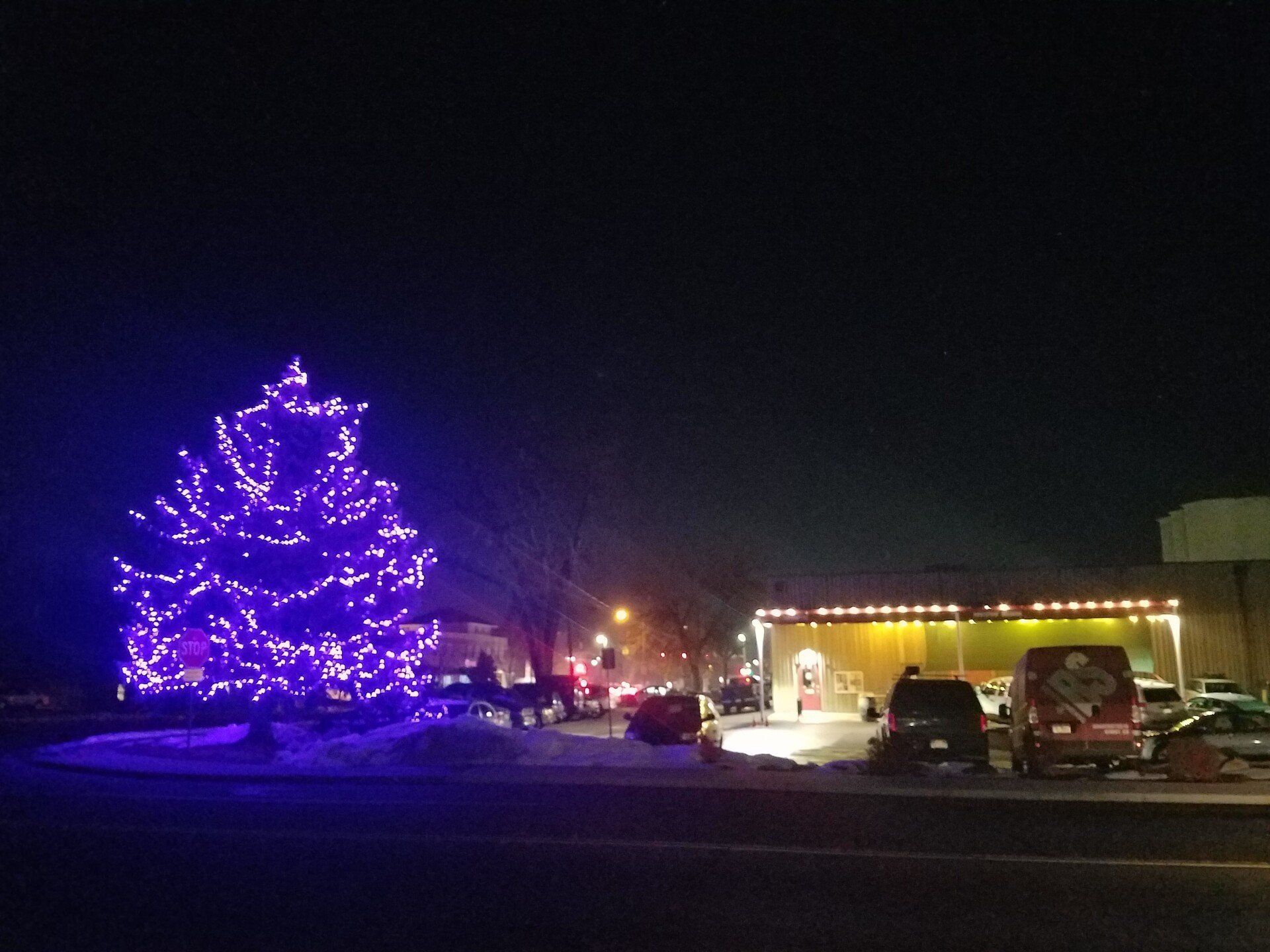 Commercial Holiday Lights