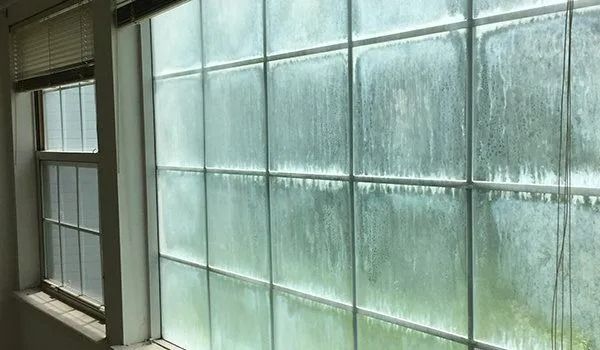 A window with glass blocks next to a traditional window, showing sunlight and blurry outside views.