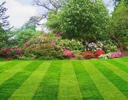 Lush green lawn with striped mowing pattern, leading to a colorful flower bed and trees under a blue sky.