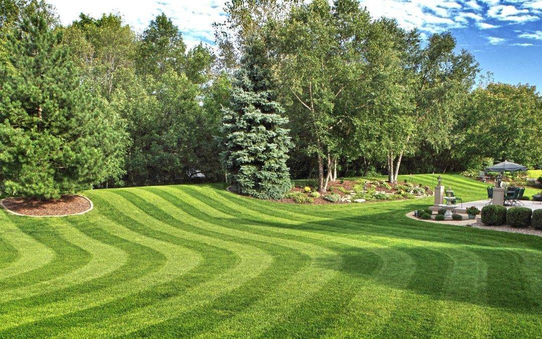 Lush green lawn with a striped pattern, surrounded by trees under a blue sky.