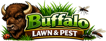Buffalo Lawn & Pest-Services