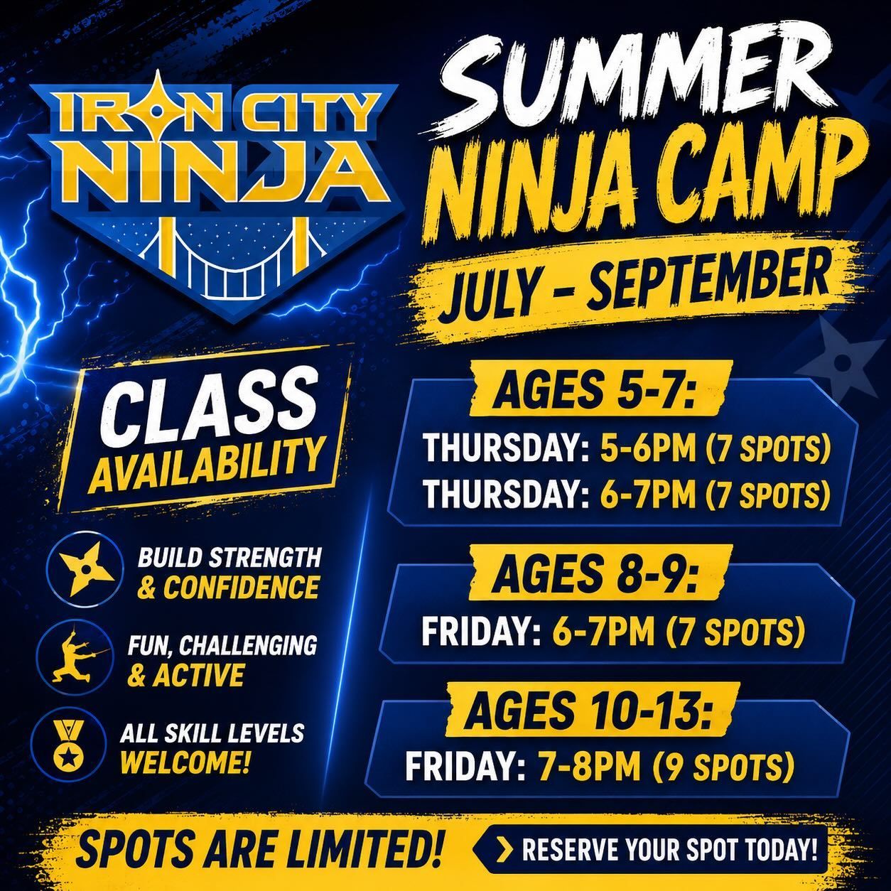 Iron City Ninja summer camp flyer with class availability, ages 5–13, July–September