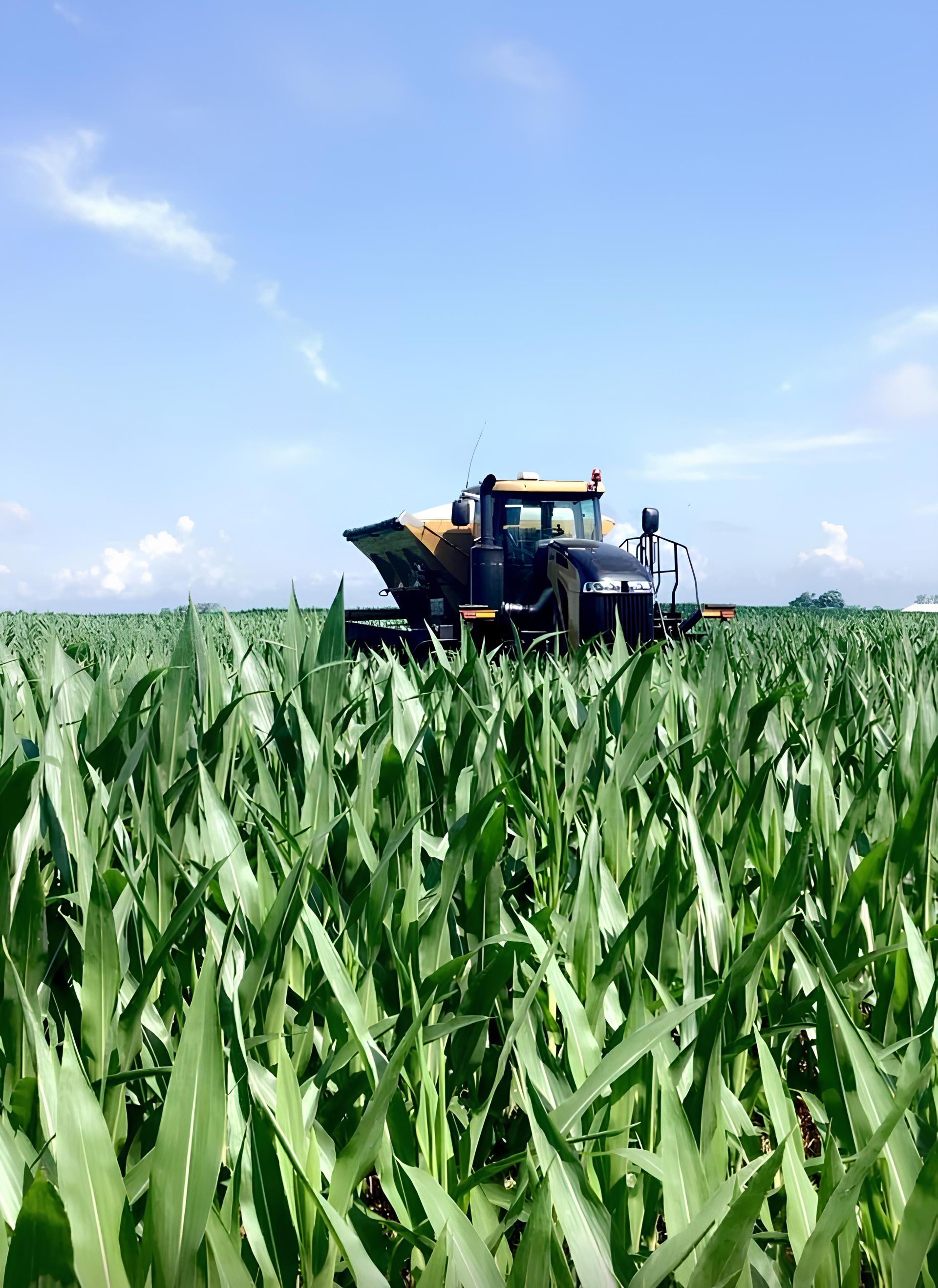 Tractor spraying crops in a green field under a blue sky.