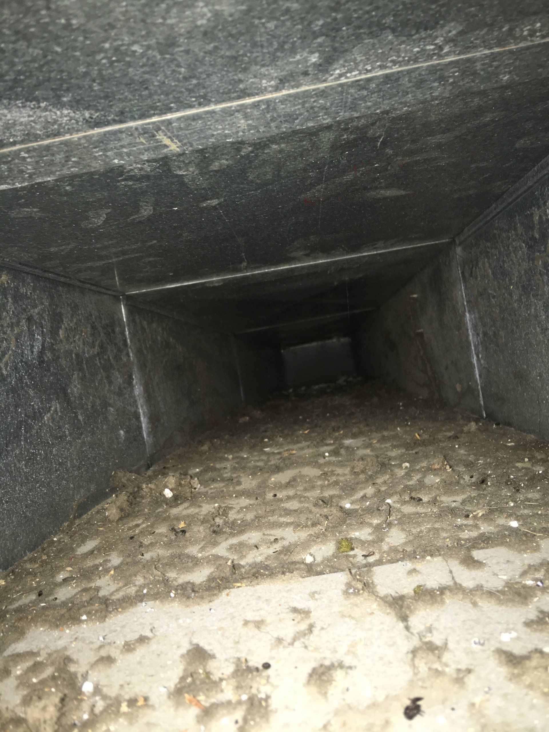Air Duct Cleaning Auburn IN | Angola IN