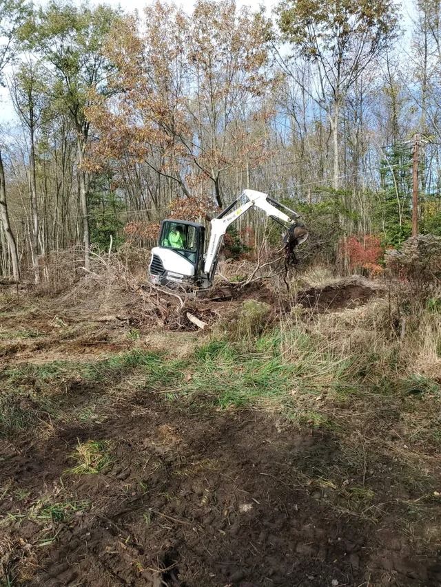 Small excavator clearing brush in a wooded area on muddy ground
