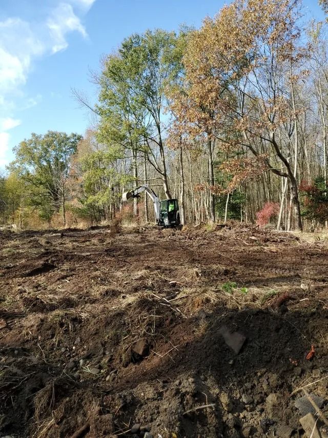 Cleared woodland with a small excavator amid trees and bare ground in autumn.