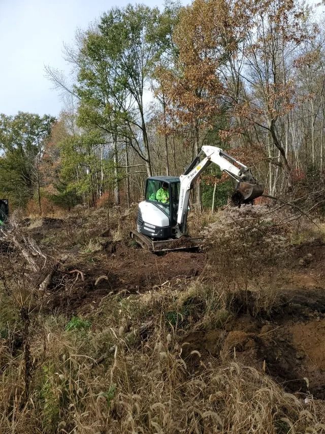 Small excavator clearing brush on a wooded hillside with trees in the background