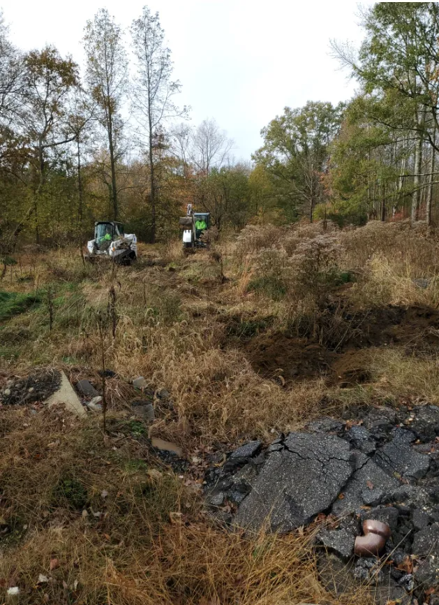 Two small tractors work in an overgrown wooded clearing with a rocky foreground.