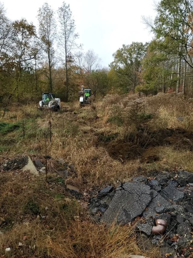 Two tractors clearing brush in a grassy, wooded field with dark rocks in the foreground