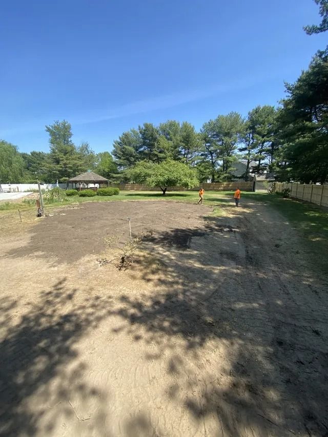 Dirt field beside trees under a clear blue sky, with a few people in the distance.