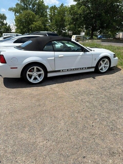 White Ford Mustang convertible parked in a lot with other cars and trees in the background