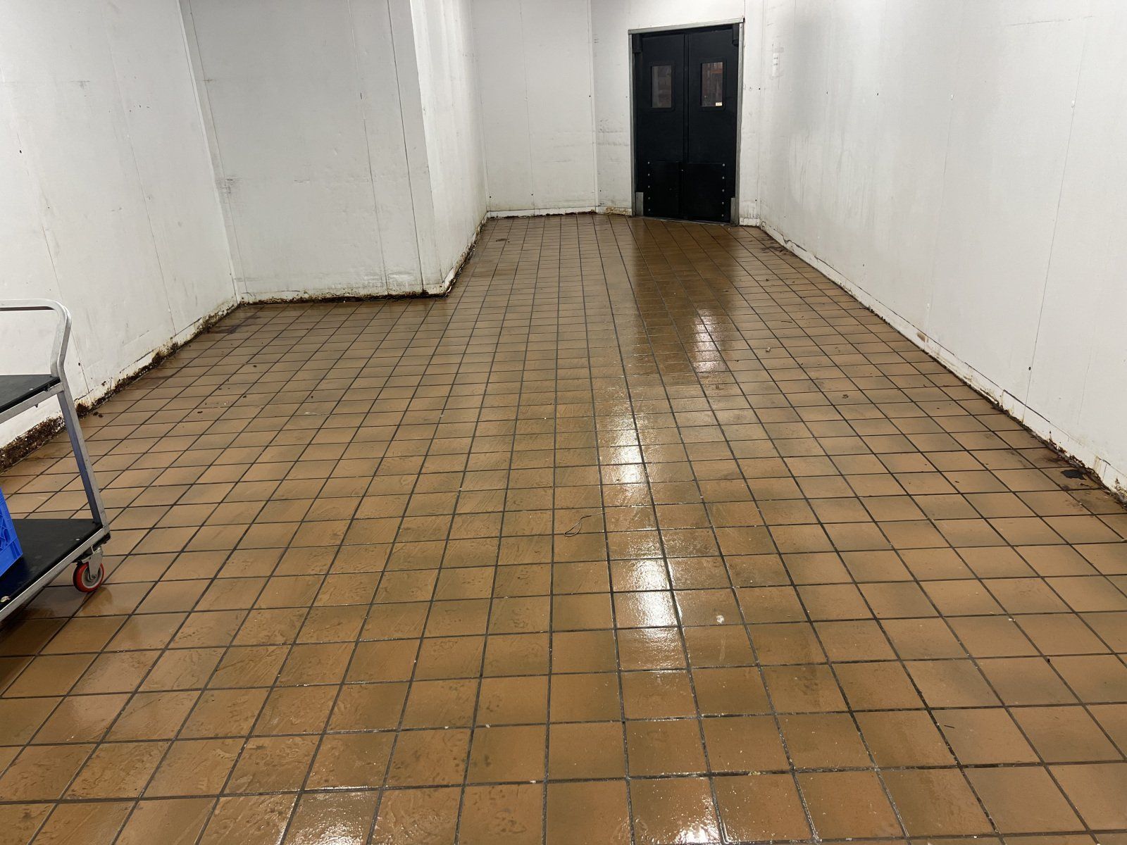 A long, narrow room with white walls and a reflective, brown tiled floor leading to a closed set of black double doors.