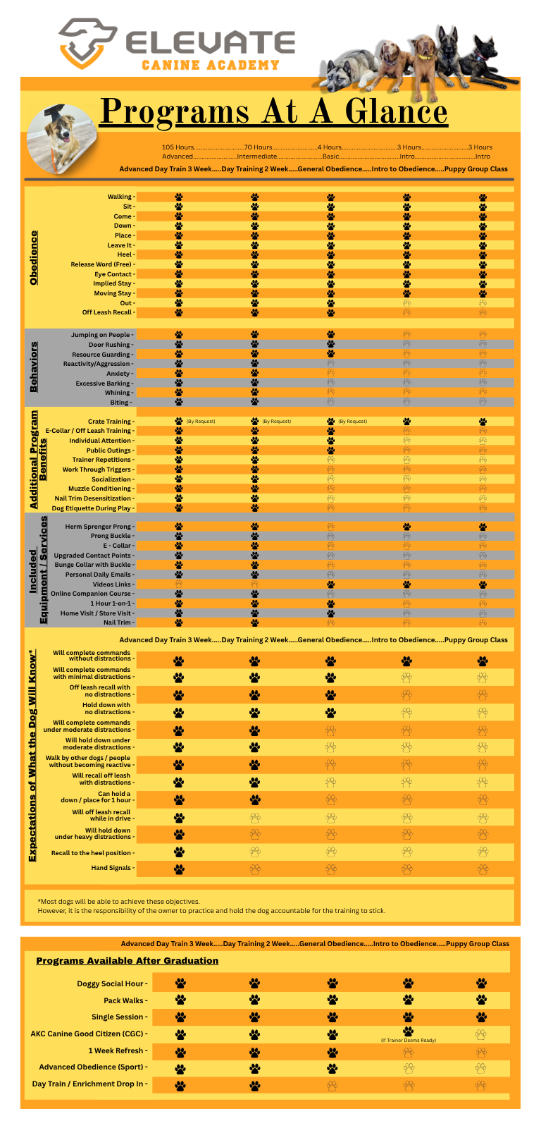 Chart detailing dog training programs with pricing and features, with yellow and gray sections.