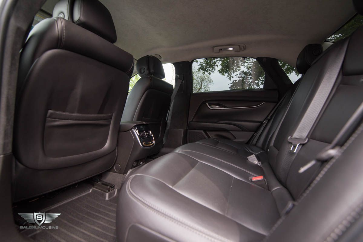 The back seat of a car with a seat belt.