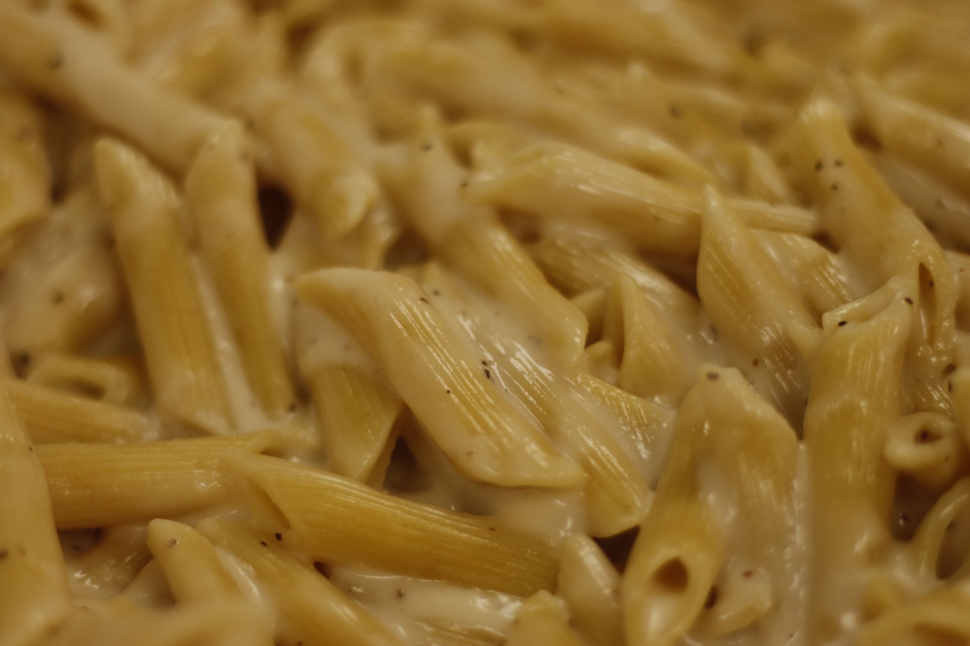 Penne pasta coated in a creamy, off-white sauce, close-up shot.