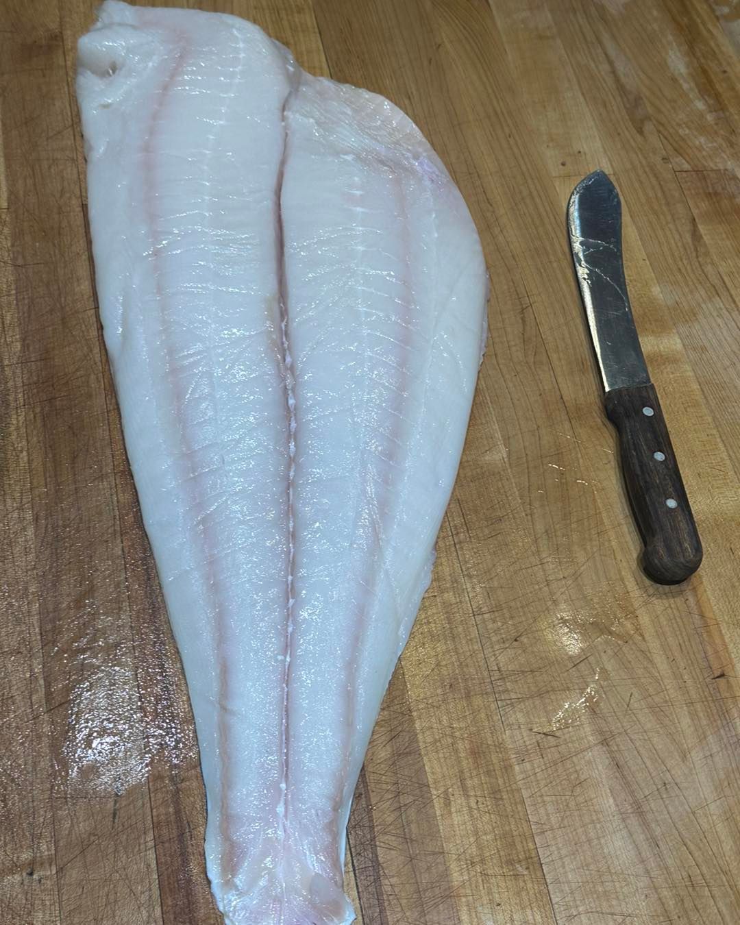 Halibut filet