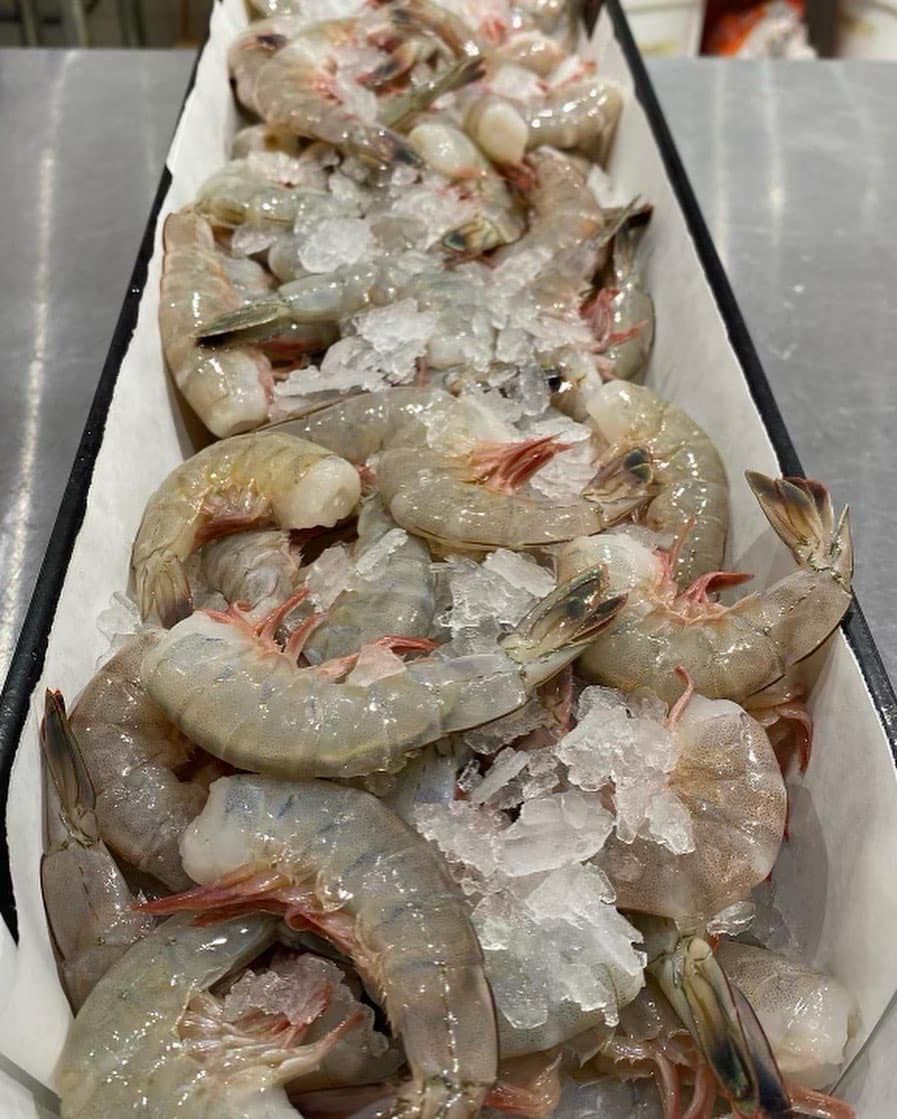 Raw shrimp on ice in a white tray