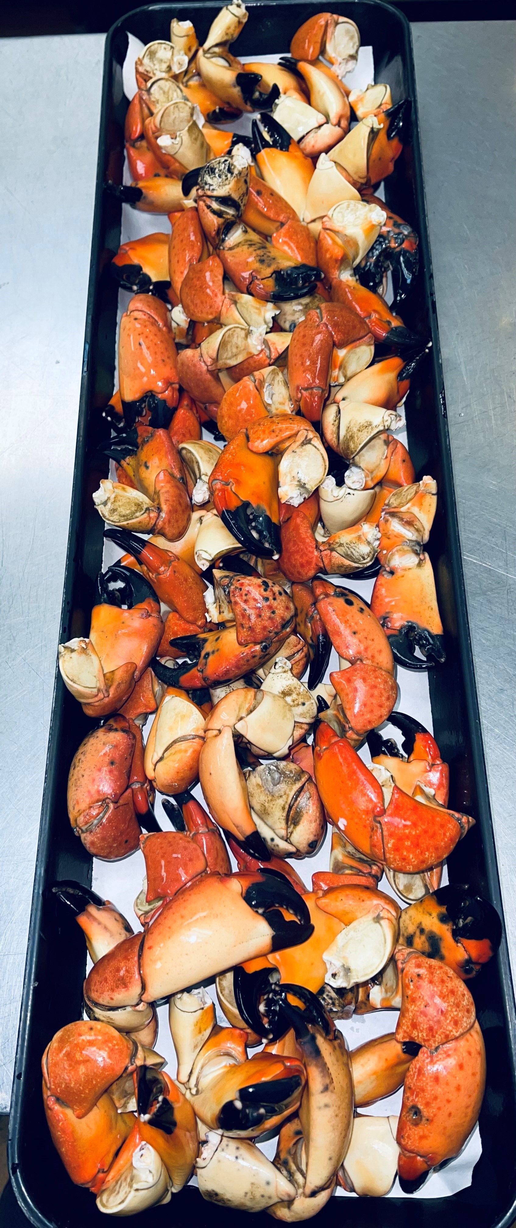 Stone crab claws