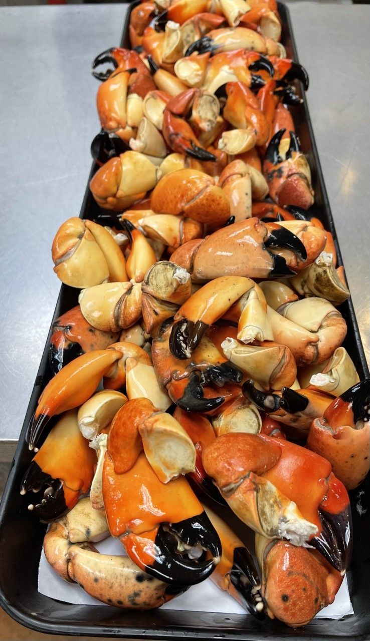 Stone crab claws on a long plate