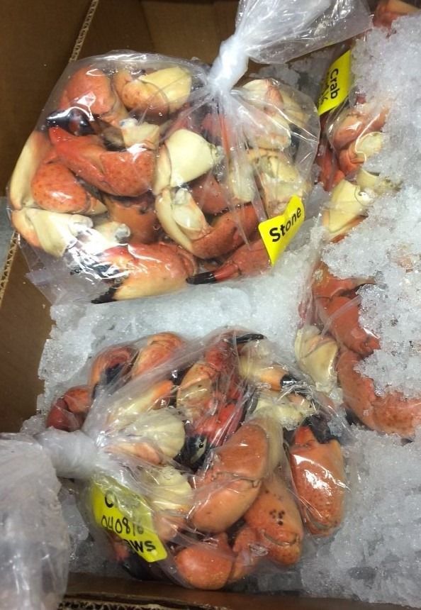 Stone crab claws on plastic bags