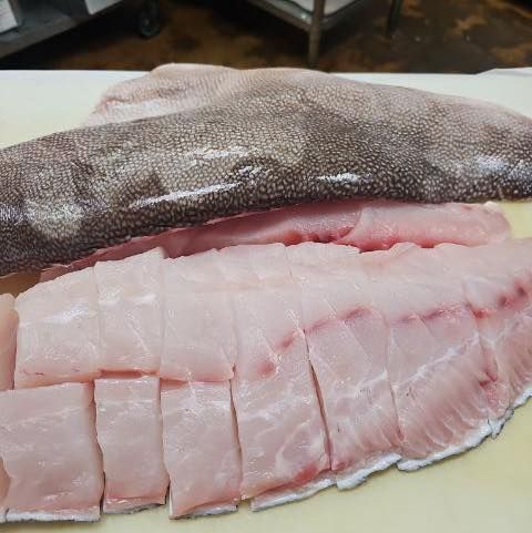 Kitty Mitchell grouper